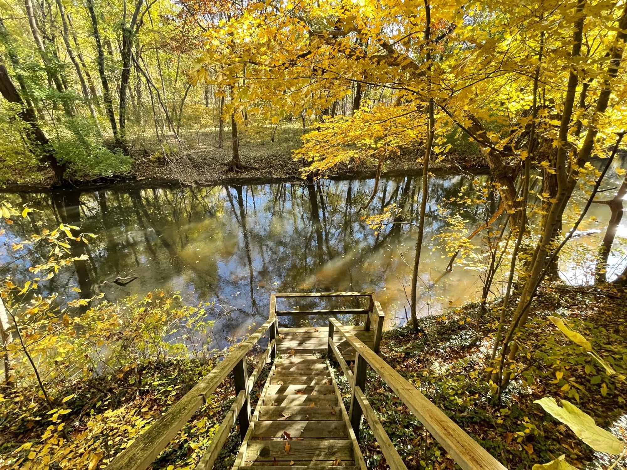 Goldberry Woods- A Modern Farm Resort Union Pier Extérieur photo